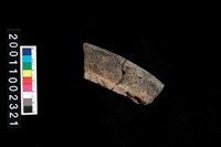 藏品(繩紋罐口)的圖片