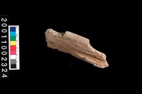 藏品(繩紋罐口)的圖片