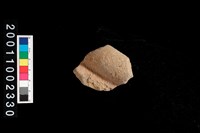 藏品(繩紋罐口)的圖片