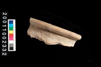 藏品(繩紋罐口)的圖片