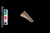 藏品(繩紋罐口)的圖片