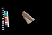 藏品(繩紋罐口)的圖片