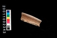 藏品(繩紋罐口)的圖片