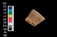 藏品(繩紋罐口)的圖片