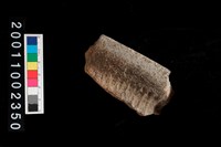 藏品(繩紋罐口)的圖片