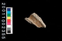 藏品(繩紋罐口)的圖片