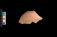 藏品(繩紋罐口)的圖片