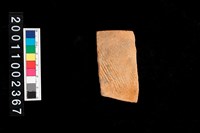 藏品(繩紋缽口)的圖片