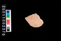 藏品(繩紋腹片)的圖片