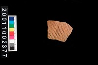 藏品(繩紋腹片)的圖片