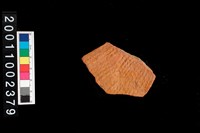 藏品(繩紋腹片)的圖片