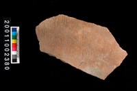 藏品(繩紋腹片)的圖片