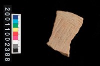 藏品(繩紋腹片)的圖片