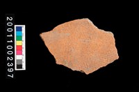 藏品(繩紋腹片)的圖片