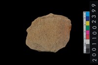 藏品(繩紋腹片)的圖片