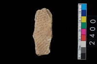 藏品(繩紋腹片)的圖片