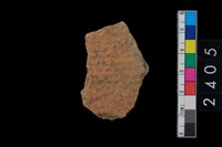 藏品(繩紋腹片)的圖片