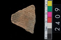 藏品(繩紋腹片)的圖片