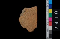 藏品(繩紋腹片)的圖片