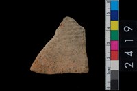 藏品(繩紋腹片)的圖片