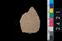 藏品(繩紋腹片)的圖片