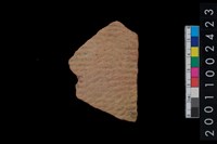 藏品(繩紋腹片)的圖片