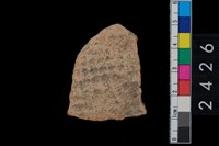 藏品(繩紋腹片)的圖片