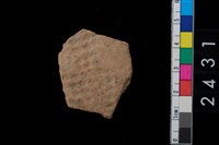 藏品(繩紋腹片)的圖片