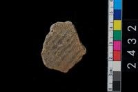 藏品(繩紋腹片)的圖片