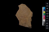 藏品(繩紋腹片)的圖片