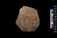 藏品(繩紋腹片)的圖片