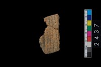 藏品(繩紋腹片)的圖片