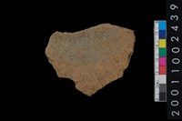 藏品(繩紋腹片)的圖片