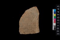 藏品(繩紋腹片)的圖片