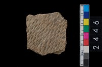 藏品(繩紋腹片)的圖片