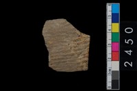 藏品(繩紋腹片)的圖片