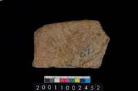 藏品(繩紋腹片)的圖片