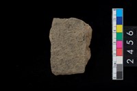 藏品(繩紋腹片)的圖片