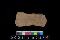 藏品(繩紋腹片)的圖片