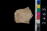 藏品(繩紋腹片)的圖片