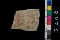 藏品(繩紋腹片)的圖片