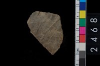 藏品(繩紋腹片)的圖片