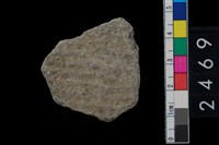 藏品(繩紋腹片)的圖片