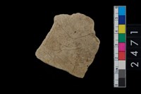 藏品(刻劃紋腹片)的圖片