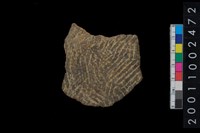 藏品(繩紋腹片)的圖片