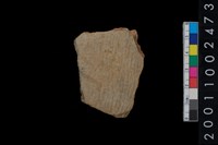 藏品(繩紋腹片)的圖片