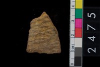 藏品(繩紋腹片)的圖片