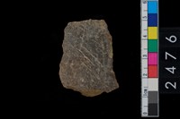 藏品(繩紋腹片)的圖片