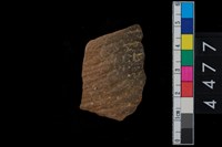 藏品(繩紋腹片)的圖片