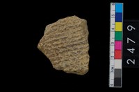 藏品(繩紋腹片)的圖片